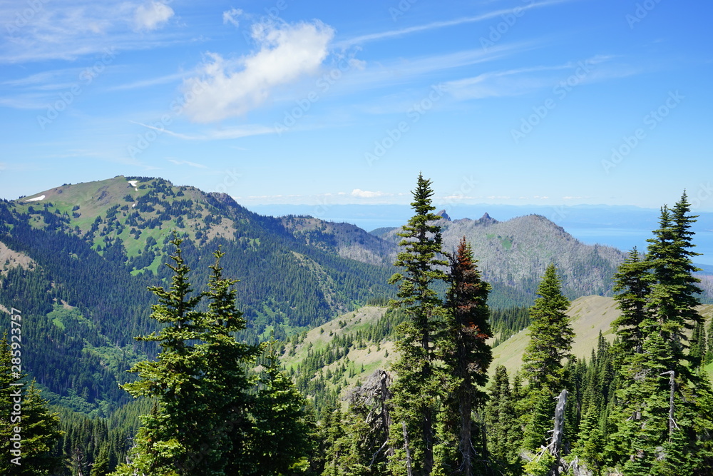 Beautiful mountains in Olympic National Park in summer in Washington, near Seattle
Beautiful mountains in Olympic National Park in summer in Washington, near Seattle