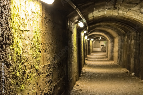 Underground tunnel wall with the moss closeup, long stone tunnel with the light bulbs - Image