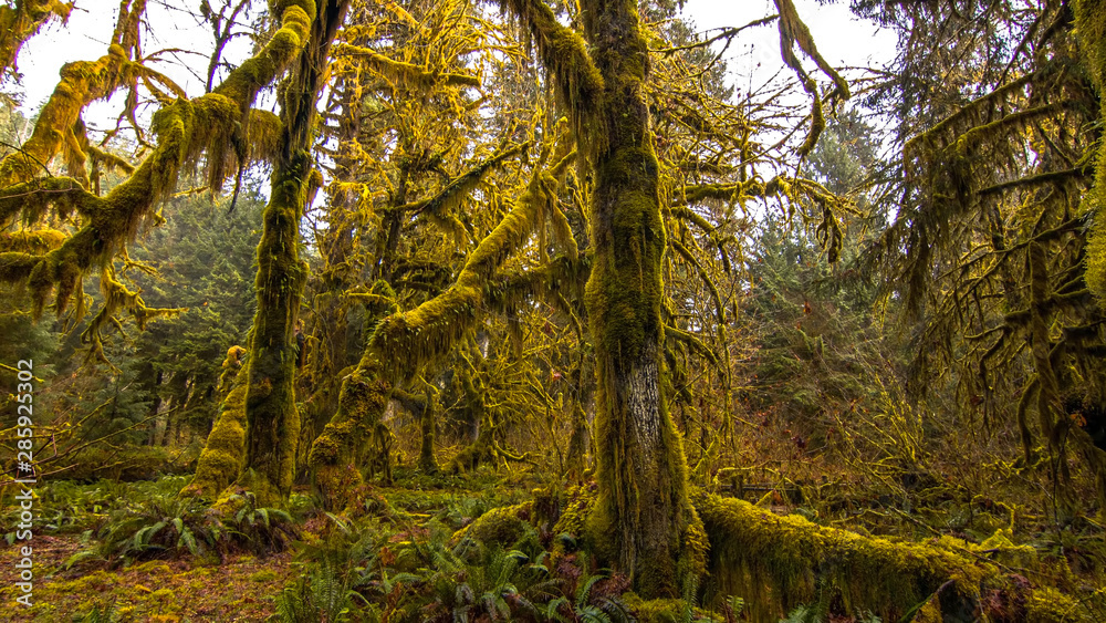 Fototapeta premium nature of the worlds best places