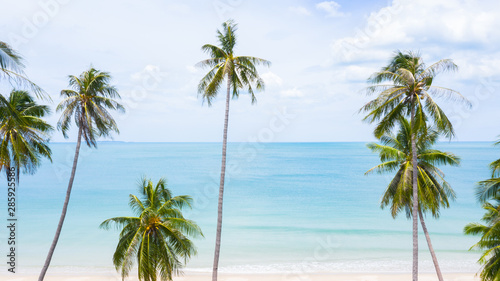 Fototapeta Naklejka Na Ścianę i Meble -  Aerial view palm beach in tropical idyllic paradise island.