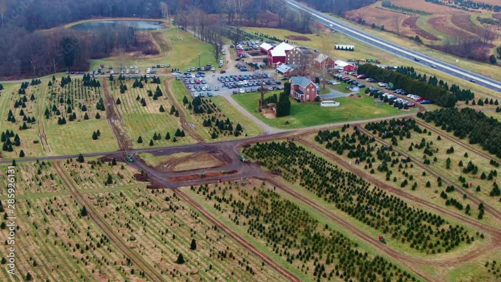 Aerial view of tree nursery, Christmas tree farm in Pennsylvania