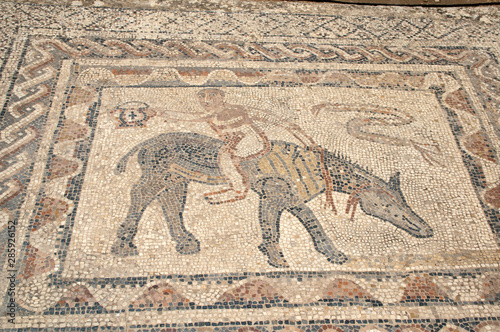 Volubilis Morocco, Man riding donkey backward mosaic in roman villa
