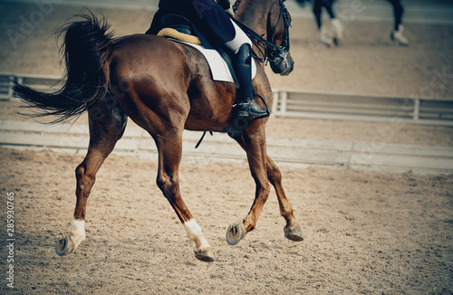 Equestrian sport.