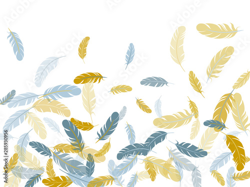 Flying feather elements airy vector design.