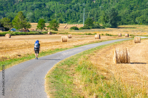 Un viaggiatore solitario con lo zaino in spalla cammina lungo una classica strada di campagna italiana