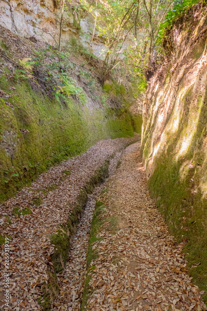 Le incredibili vie cave, sentieri scavati nella roccia di tufo dagli etruschi in Toscana, tra Pitigliano e Sorano, Italia Le incredibili vie cave, sentieri scavati nella roccia di tufo dagli etruschi in Toscana, tra Pitigliano e Sorano, Italia