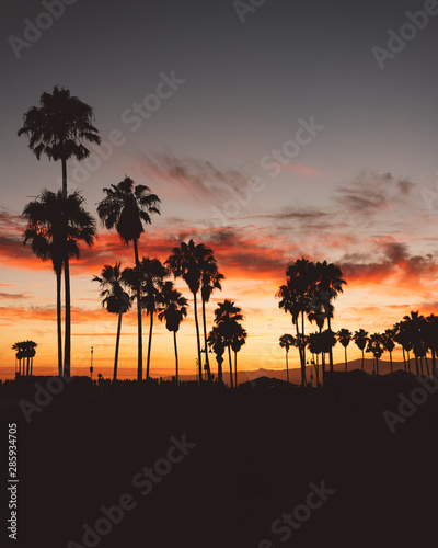 Sunset at Venice Beach California USA