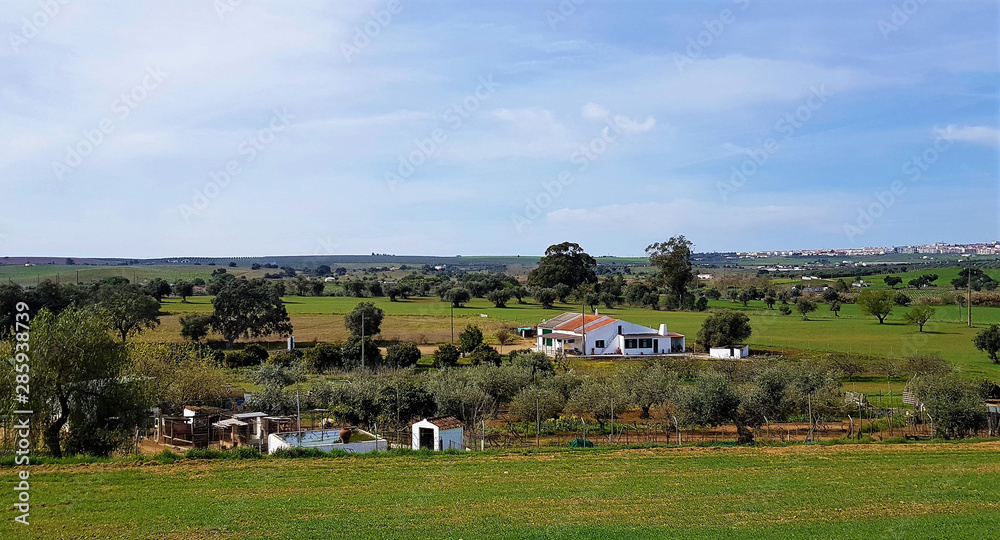 landscape of a rural area in Portugal