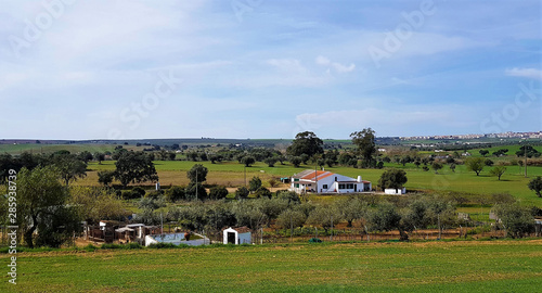 landscape of a rural area in Portugal