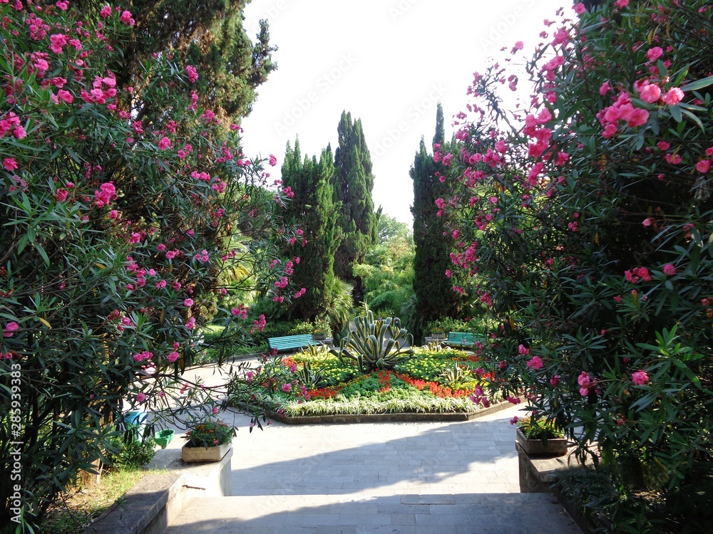 Obraz premium Nature