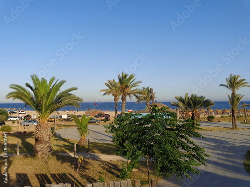 palm trees on beach © Алан Абаев