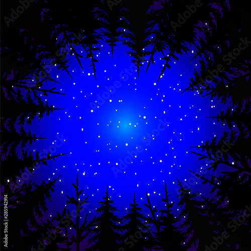 background with night sky and tops of trees, vector forest