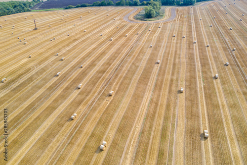 on a field lie numerous bales of straw