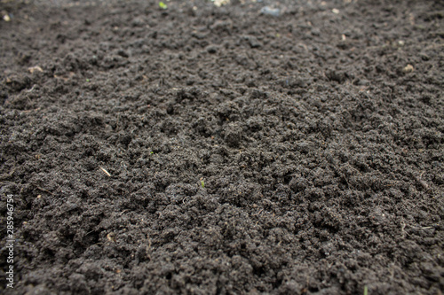 Loose black earth close-up in the garden