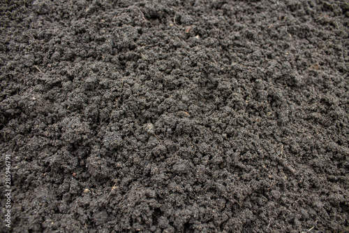 Loose black earth close-up in the garden