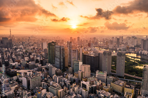 Photography Aerial Drone Photo - Skyline of the city of Tokyo, Japan at sunrise