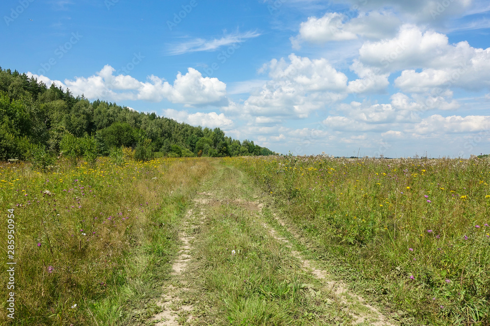 Beautiful countryside landscape. Green field and blue sky with clouds.