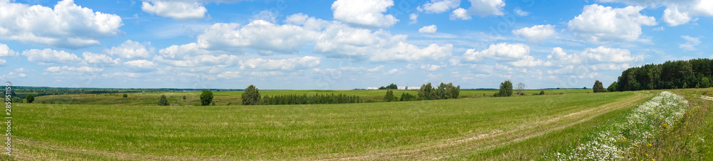 Panorama. Beautiful landscape. Green field with clouds. Russia