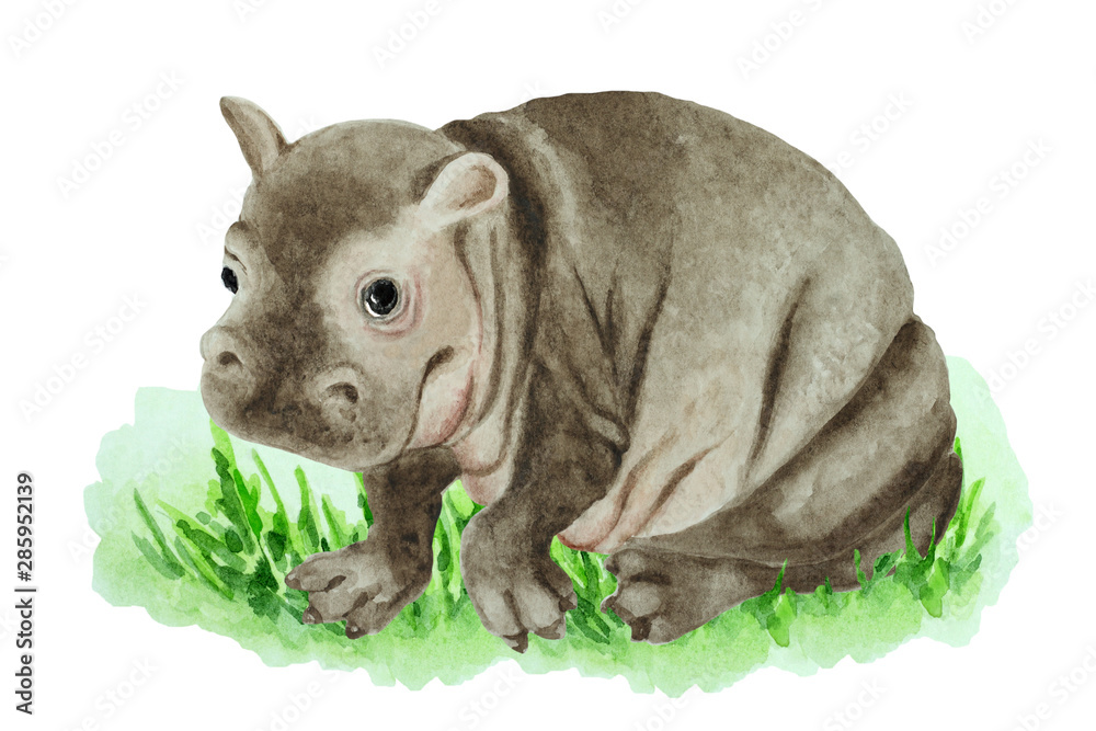 Obraz premium Baby hippo sitting on green grass on a white background, hand drawn watercolor.