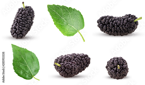 Set mulberry berry with leaf photo