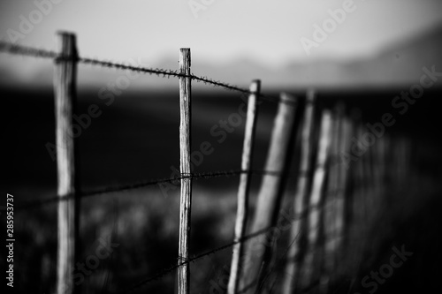Fence