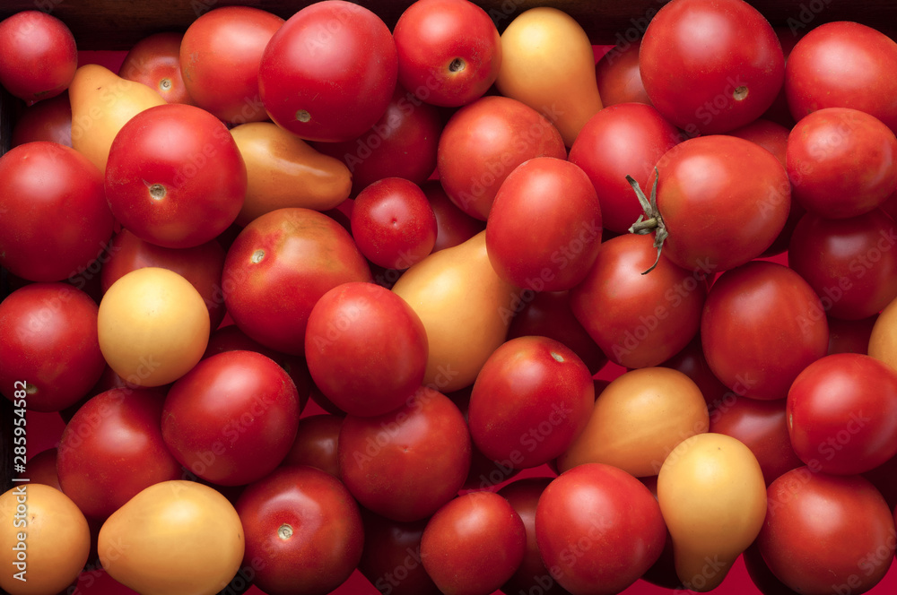 closeup view organic tomatoes as background