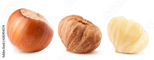 hazelnut isolated on white background, clipping path, full depth of field