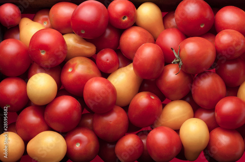 closeup view organic tomatoes as background