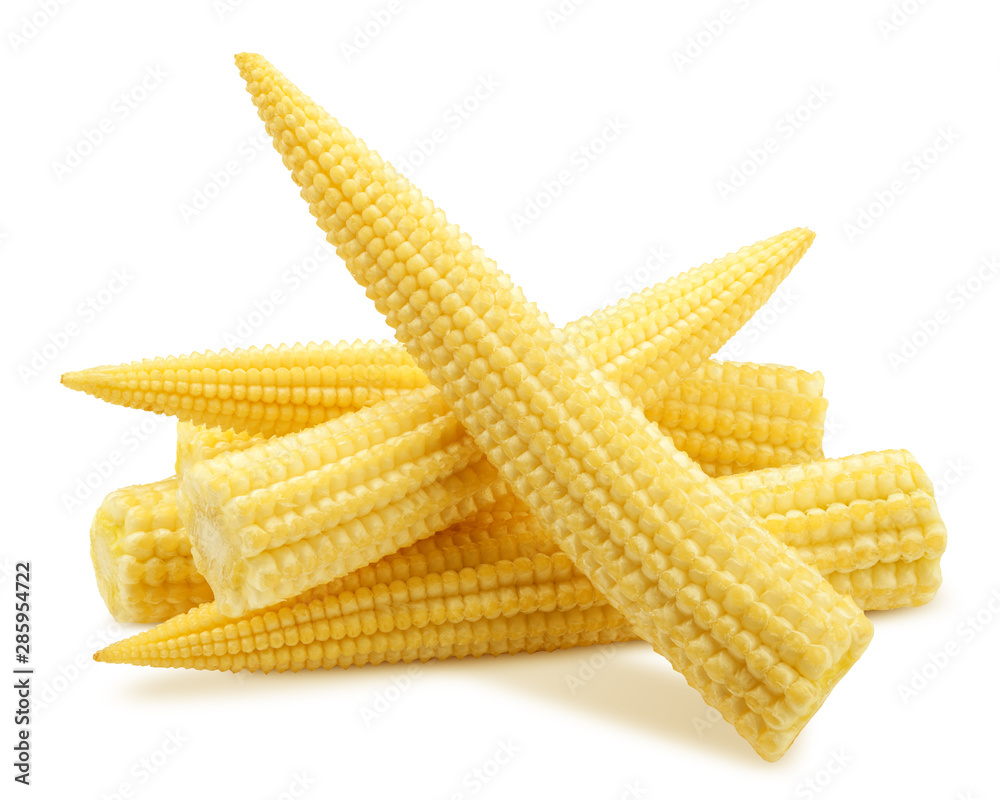 baby corn, isolated on white background, clipping path, full depth of ...