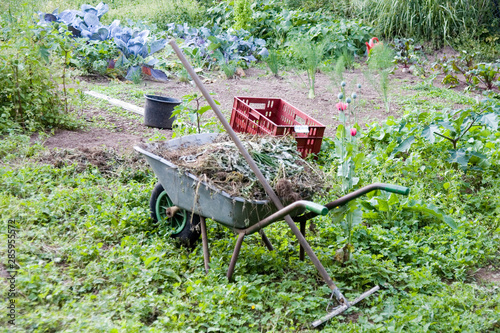 Gartenarbeit 3 photo