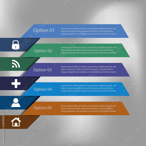 Timeline infographic five option business data with icon