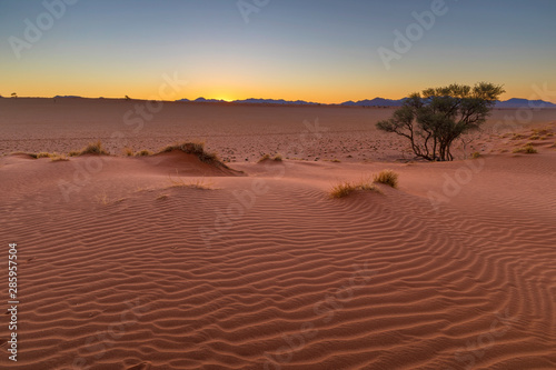 On the dune after sunset