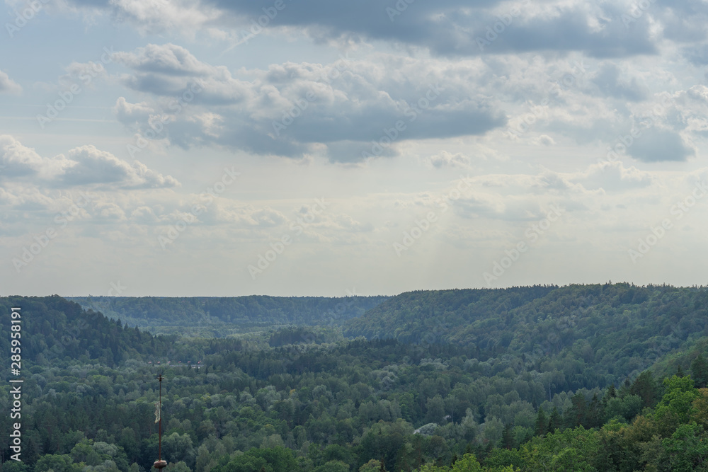 Obraz premium Aerial view of beautiful green forest, Latvia