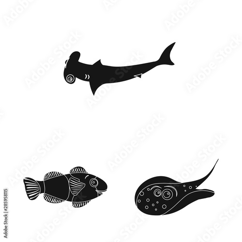 Vector design of sea and animal logo. Set of sea and marine vector icon for stock.