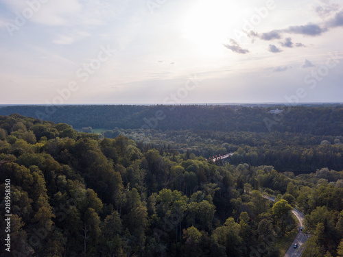 Aerial view of beautiful green forest, Latvia