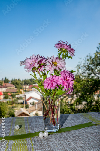 summer, day, blue, sky, distance, houses, buildings, window sill, blue, background, small, glass, vase, plants, pink, chrysanthemums, small, flowers, asters, bouquet, narrow, silver, ribbon, round, wh