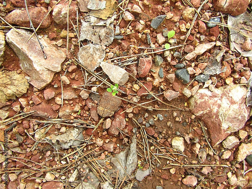 Cuadro en lienzo Rocky ground. Clay soil.
