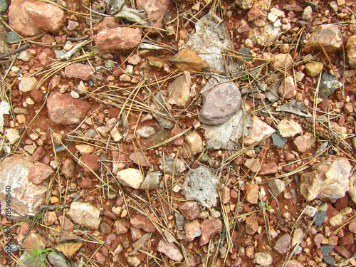 Foto Rocky ground. Clay soil.