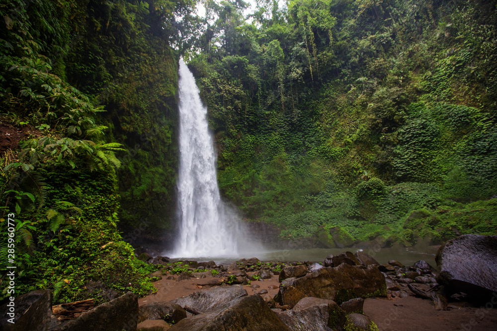 Obraz premium Nung-Nung Bali waterfall in rainforest.