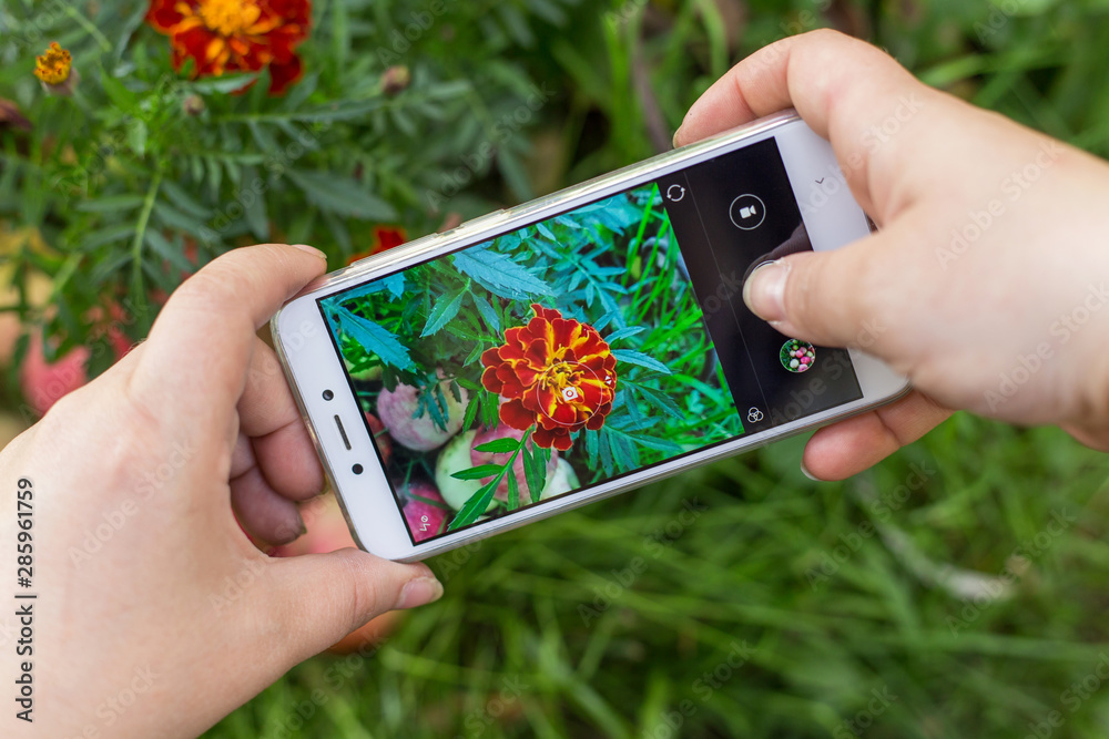 Hands making photo with smartphone, mobile phone Hands making photo with smartphone, mobile phone