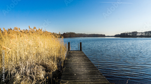 Landschaft mit Steg und Schilfgras an einem See