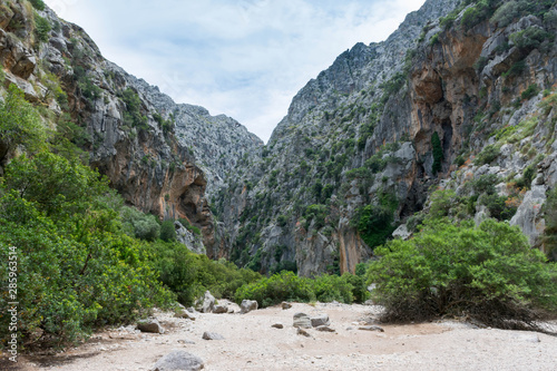 The rocks in the gorge Sa Colobra in Mallorca photo