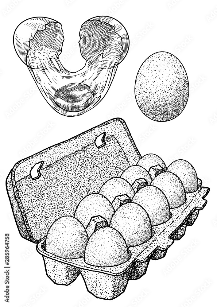 Eggs in cardboard box and broken egg illustration, drawing, engraving
