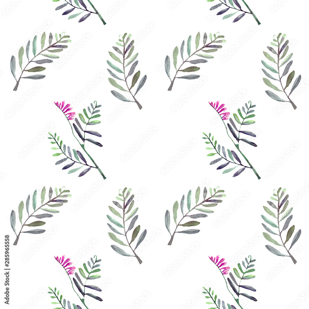 Seamless hand drawn watercolor pattern with wild herbs