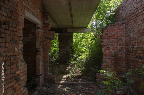 an old abandoned house made of red stone among the wild. photo