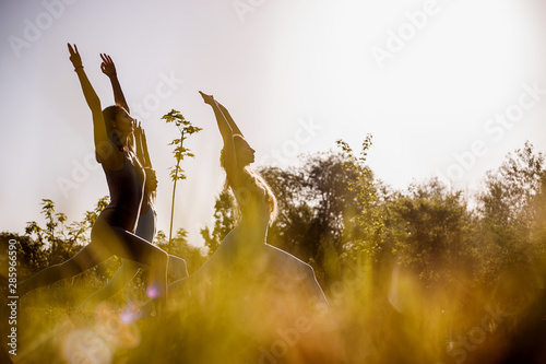Four young women are practising yoga in the open air in the nature on the grass on the sunny day