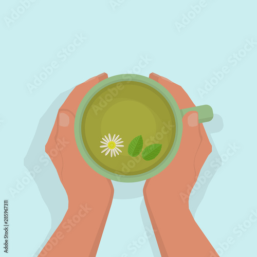 Women's hands are warming, gently holding a cup of green tea, with chamomile and mint. View from above. On a light blue background, with shadow. Flat style.