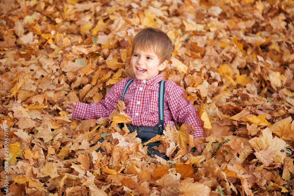 Happy child playing, posing, smiling and having fun in autumn city park. Bright yellow trees and leaves Happy child playing, posing, smiling and having fun in autumn city park. Bright yellow trees and leaves