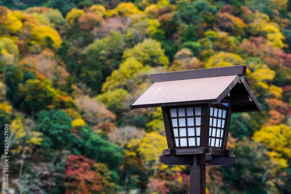 Focus on old Japanese black wooden in front various kinds of trees on mountain range background traditional lantern with colorful trees on hill during in full blooming of autumn season in Japan Focus on old Japanese black wooden in front various kinds of trees on mountain range background traditional lantern with colorful trees on hill during in full blooming of autumn season in Japan