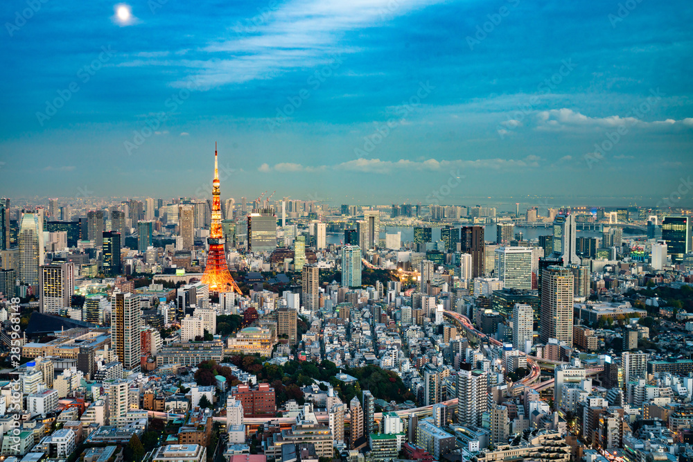 Tokyo Tower, Japan - communication and observation tower. Tokyo Tower, Japan - communication and observation tower.